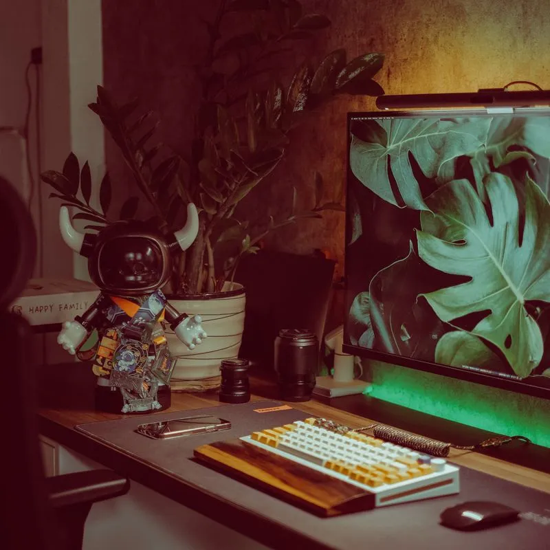 Milutin's workspace, a clean desk setup for focused development work